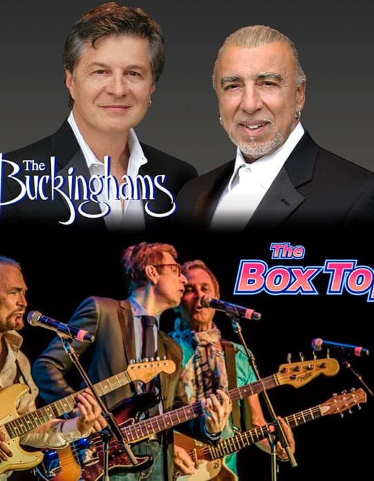 buckinghams and box tops
