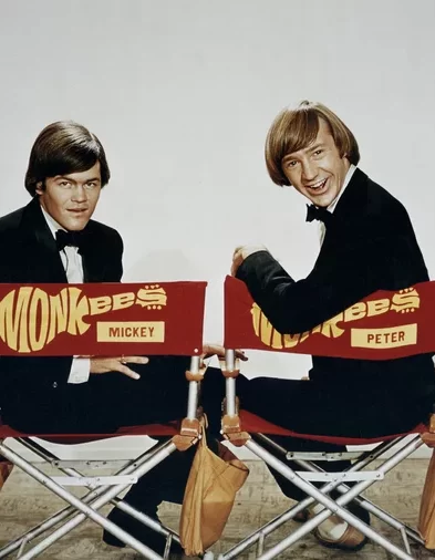 The Monkees Wide