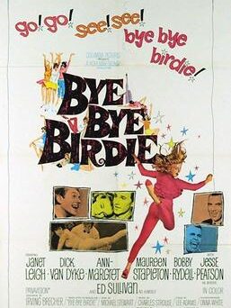 Bye Bye Birdie Film Poster