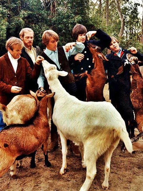 The Beach Boys | Pet Sounds